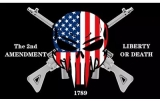 Fahne - USA - Gun Liberty (221)