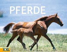 Buch - Pferde - XXL EDITION - Andrea Fitzpatrick +++EINZELSTÜCK+++