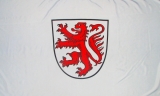 Fahne - Braunschweig (119)